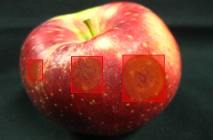 disease imaging